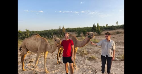 An Authentic Bedouin Experience in Jordan’s Desert